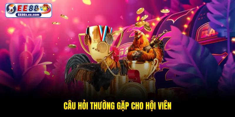 Câu hỏi thường gặp cho hội viên