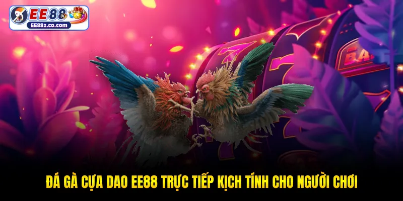 Đá gà cựa dao EE88