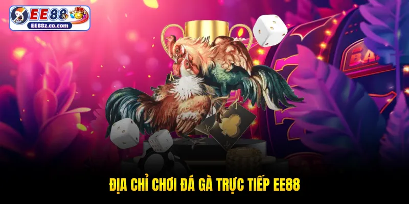 Địa chỉ chơi đá gà trực tiếp EE88