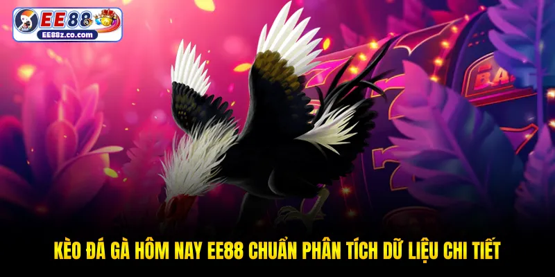 Kèo đá gà hôm nay EE88