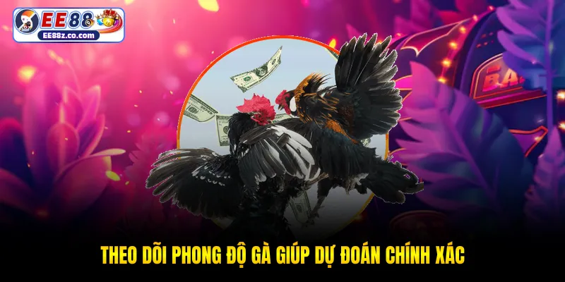 Theo dõi phong độ gà giúp dự đoán chính xác