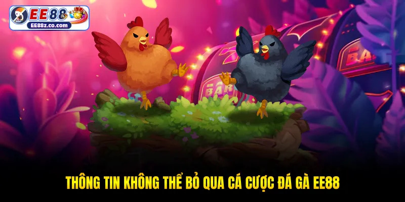 Thông tin không thể bỏ qua cá cược đá gà EE88