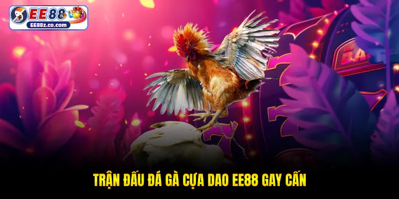 Trận đấu đá gà cựa dao EE88 gay cấn